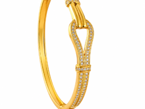 Kizara Luxe Buckle Bangle